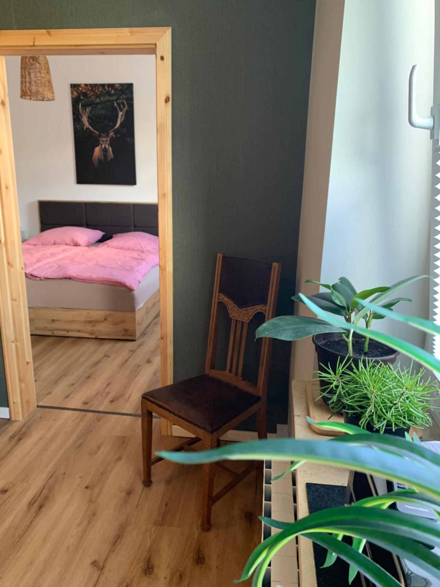 Katharina Boardinghouse Apartment ออสนาบรึค ภายนอก รูปภาพ